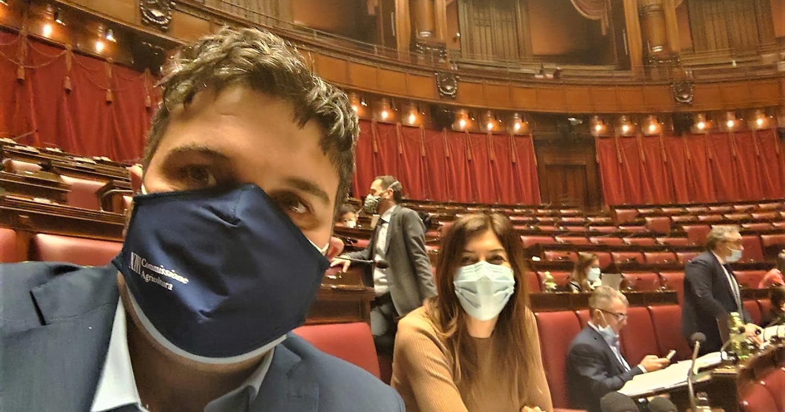 Agricoltura, Basilicata indietro sulle infrastrutture idriche. Il monito di Cillis (M5S): «Regioni cambino passo e redigano progetti all’altezza»