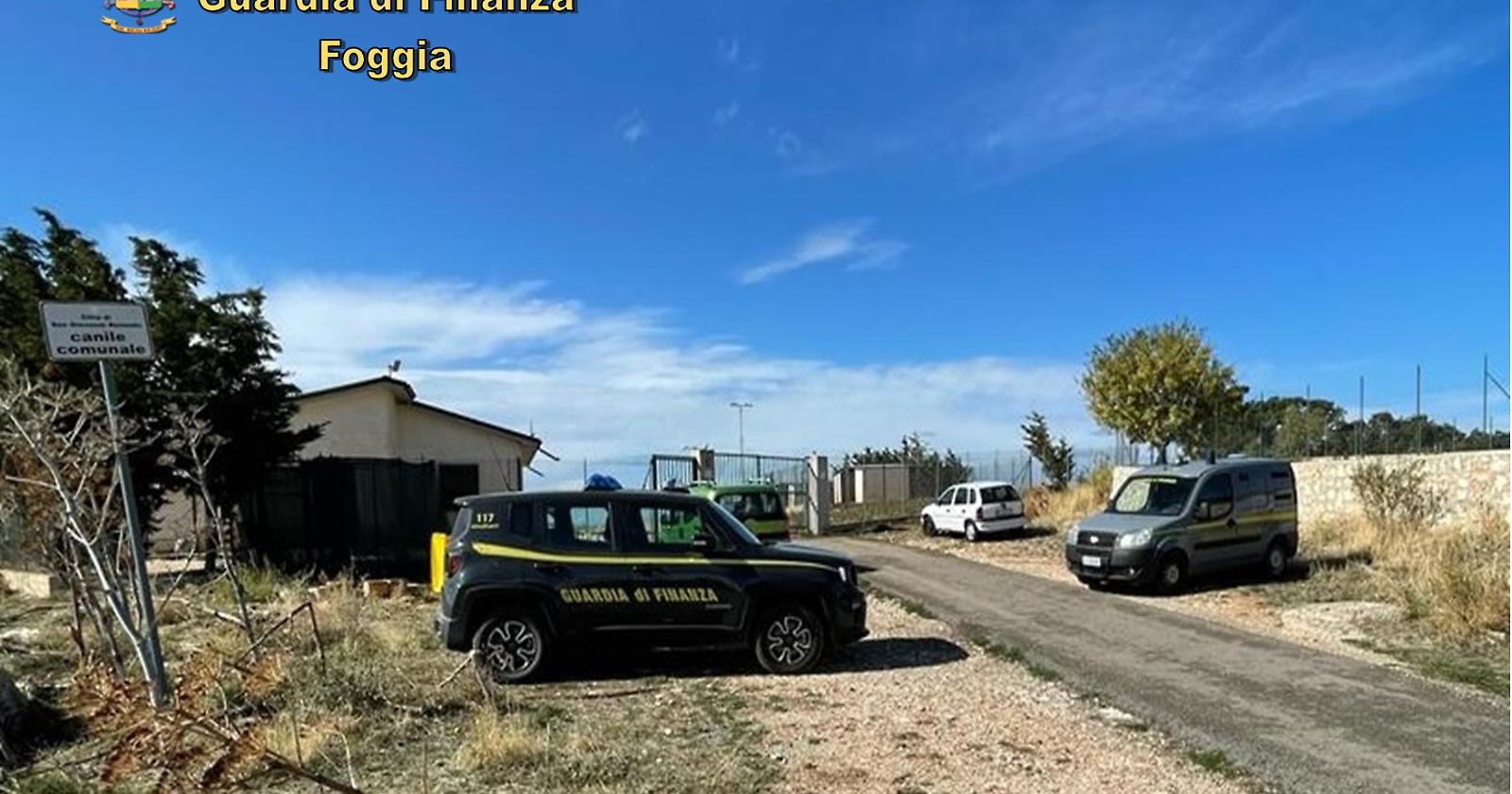 Anche ex dipendenti comunali indagati dalla GdF per l'affidamento sospetto del canile di San Giovanni Rotondo