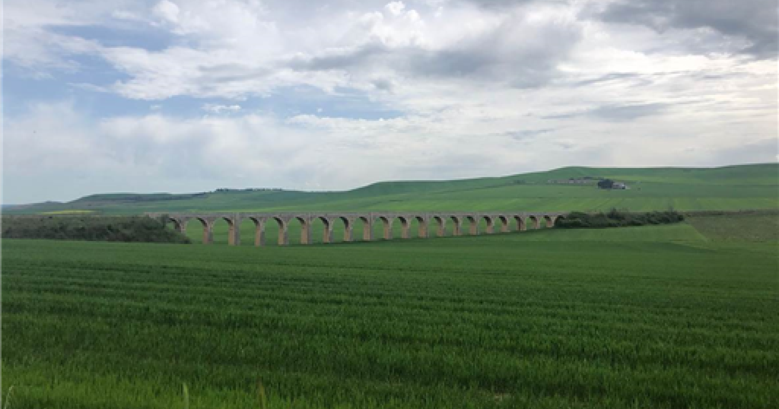 Da Gioia del Colle a Rocchetta Sant'Antonio, il lungo ponte di Vasco Rossi per la Puglia