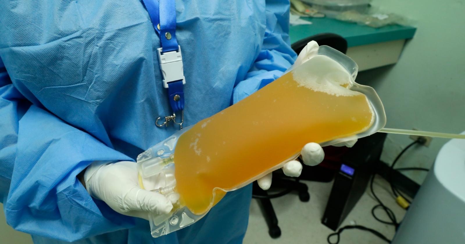 L'Oms raccomanda di non usare il plasma dei guariti Covid nei casi gravi: «Cura costosa e inutile»