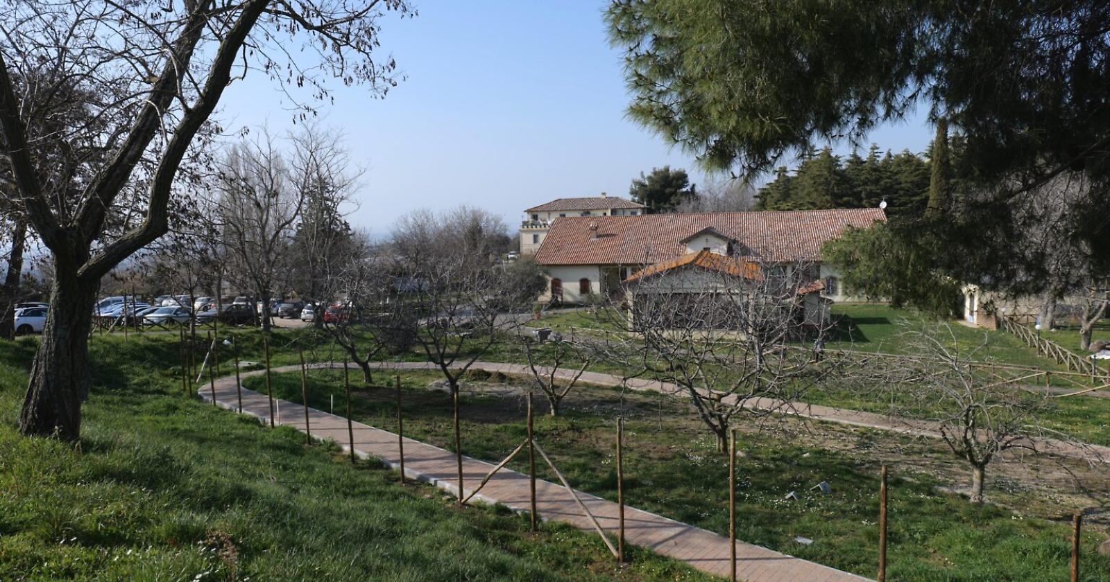 Agriturismi, rispetto al 2019 aumentano di 484 unità ma crolla il valore medio