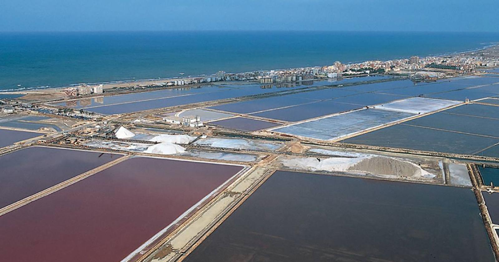 UniFg mette il sale sulla coda delle saline di Margherita di Savoia con una partnership innovativa per la formazione e le imprese