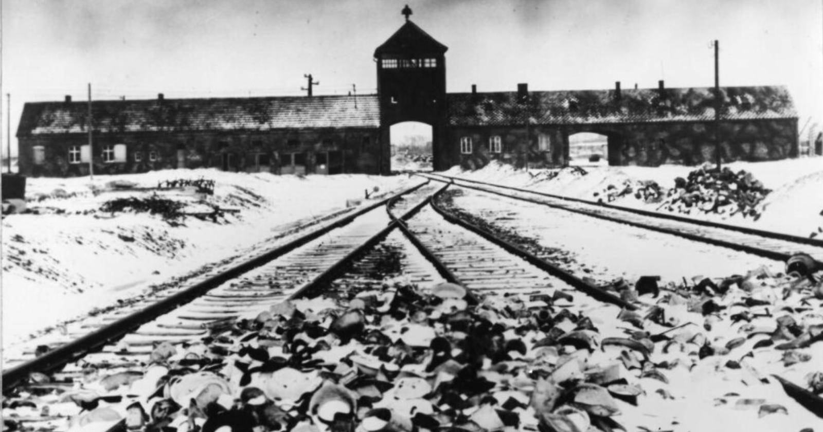 Giornata della Memoria. Unarma: il sacrificio dei Carabinieri e il valore prezioso della memoria 