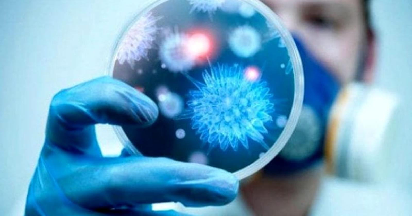 La guerra globale che riguarda tutti e che nessuno vuole vedere: quella tra batteri e antibiotici