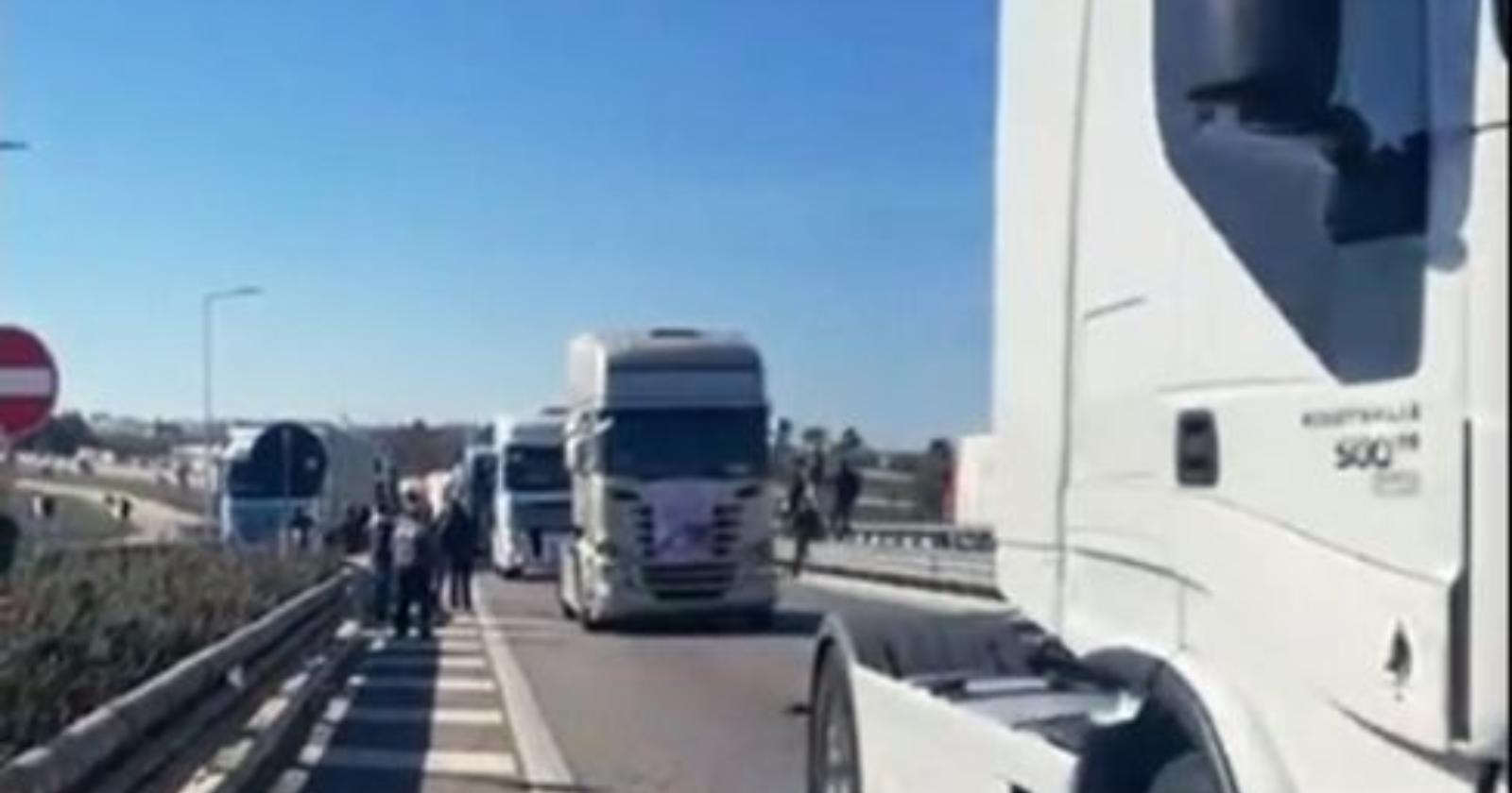 Protesta contro il caro carburante, colonna di camion e trattori da Matera a Bari