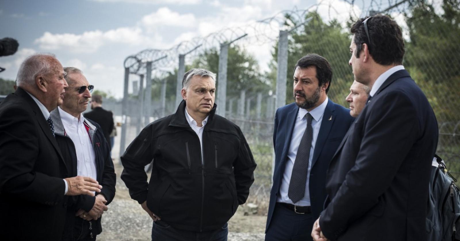 Salvini è pronto a partire per l'Ucraina: missione di pace di pace con Orban 
