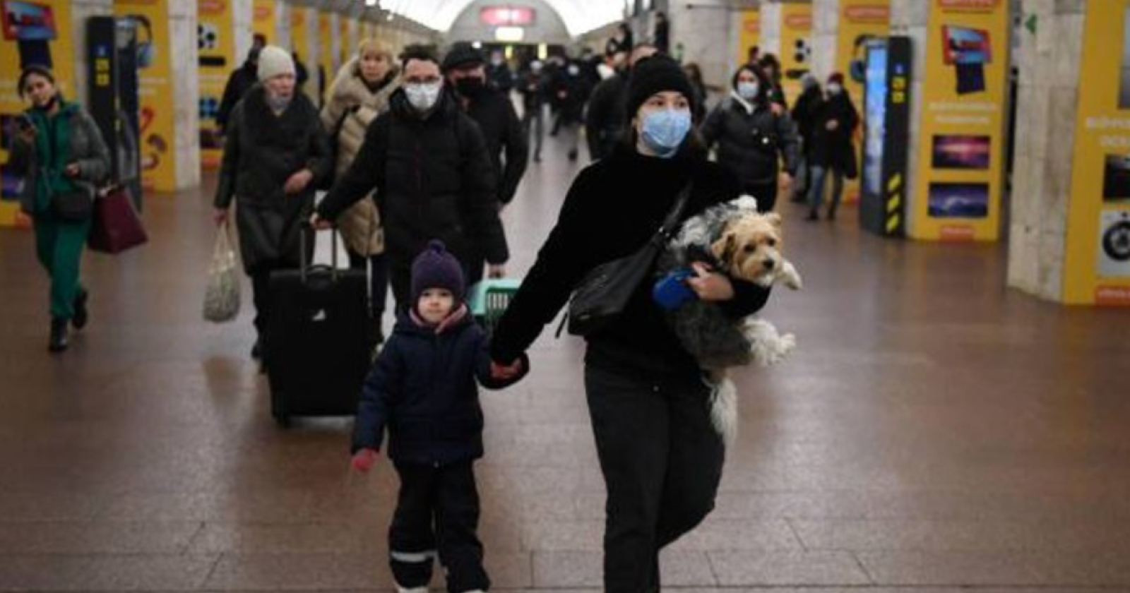 Ucraini in fuga con gli amici a quattro zampe , l'Italia deroga il Pet passport 