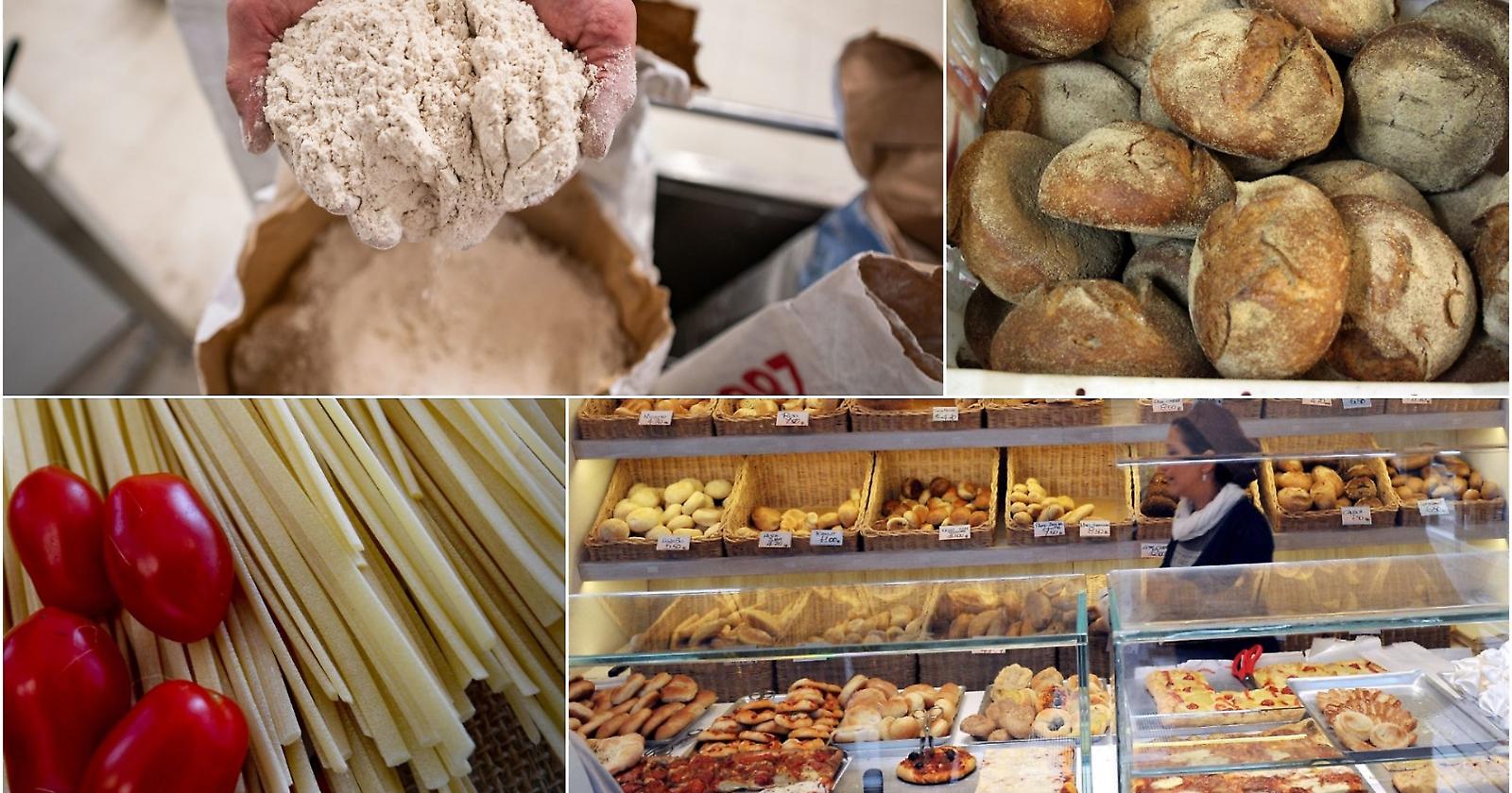 Ucraina, allarme di Coldiretti: il prezzo del grano a livelli record, ai massimi dal 2008 