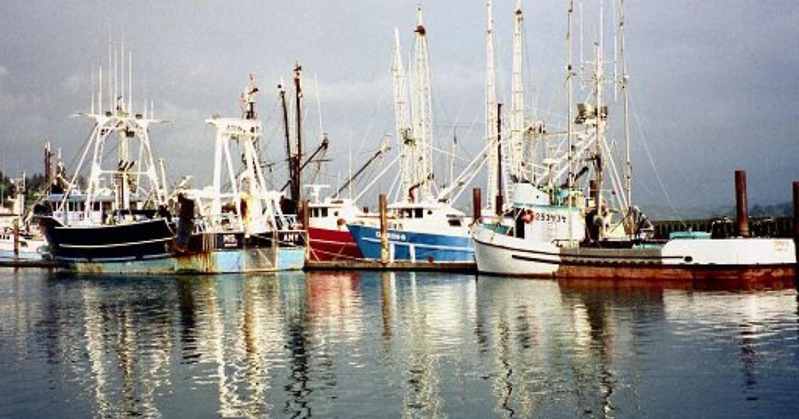 In Molise 500 pescatori alla deriva per il caro benzina, l'allarme del sindaco di Termoli: «Situazione insostenibile»
