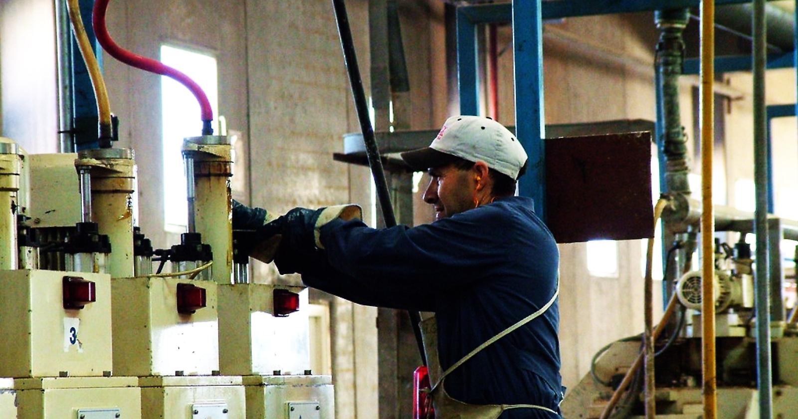A maggio 2022 in Basilicata oltre tremila ingressi nel mondo del lavoro