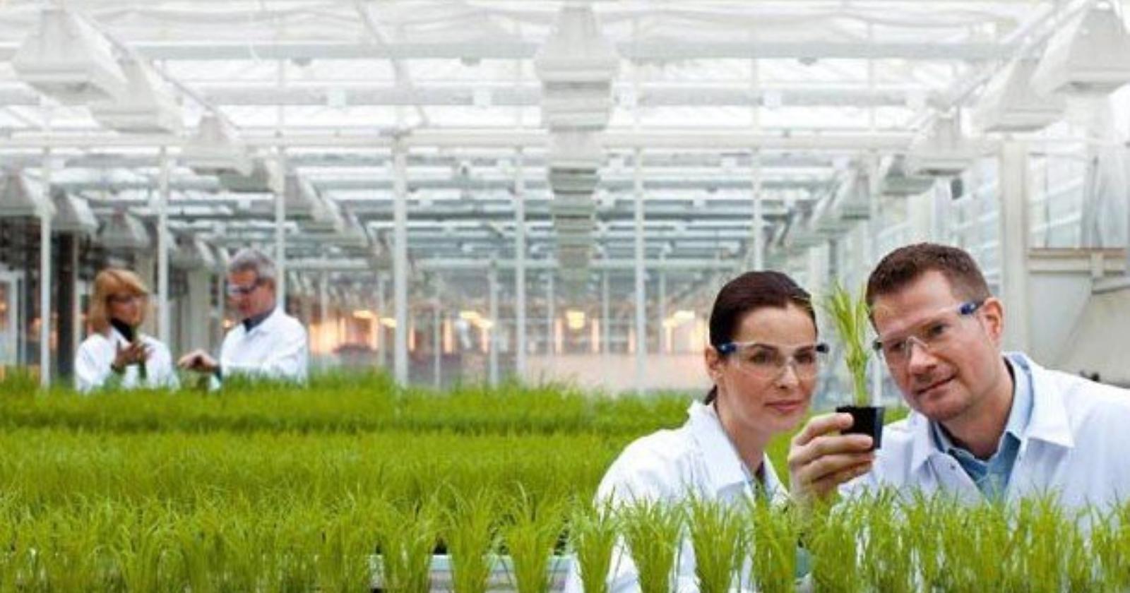 UniFg nella cordata per la nascita da 350milioni di euro del Centro Nazionale delle Nuove Tecnologie in Agricoltura