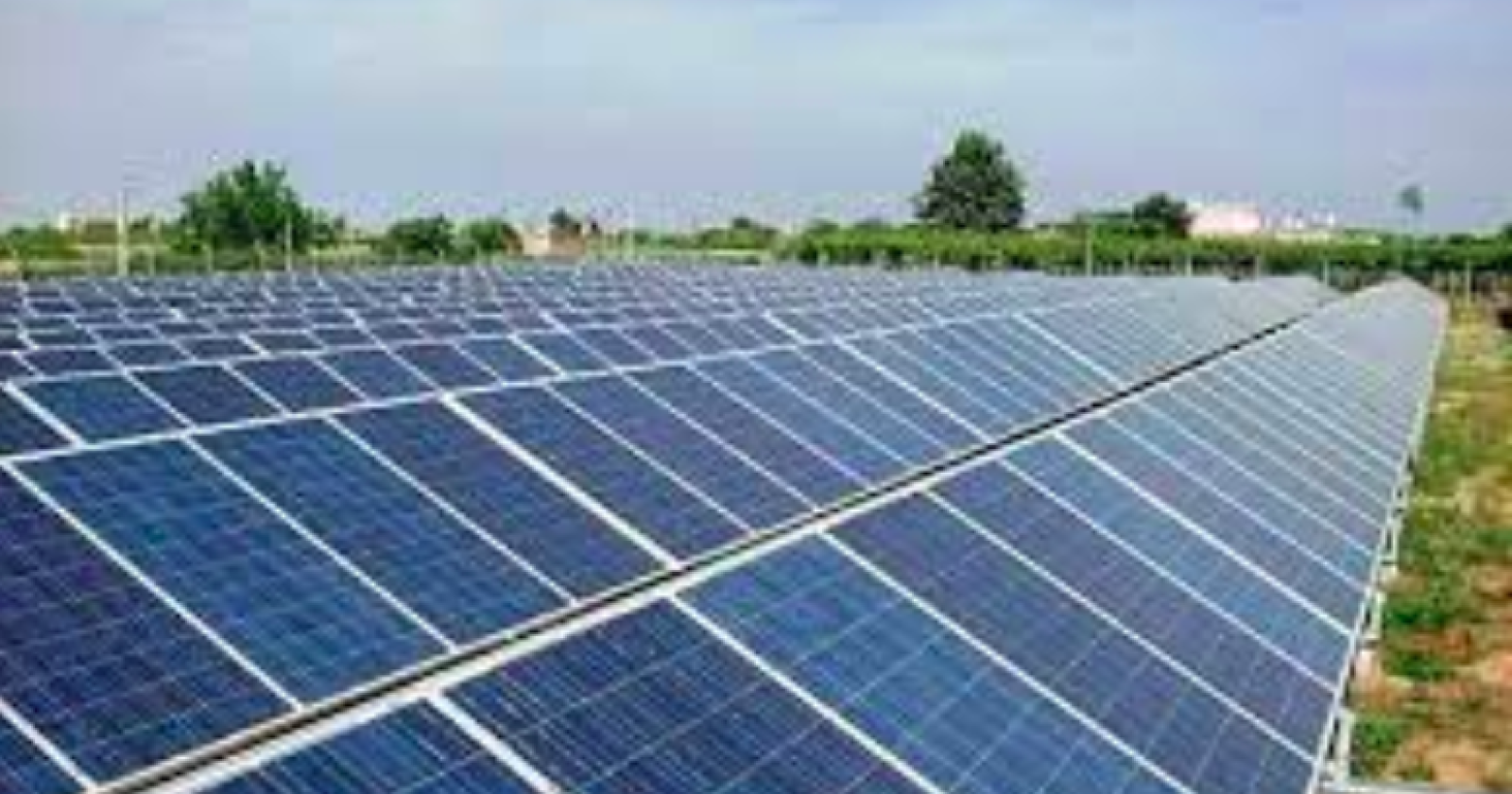 Melfi, Delli Gatti era pronto a lasciare la rivendita di paglia per buttarsi nell'affare del fotovoltaico