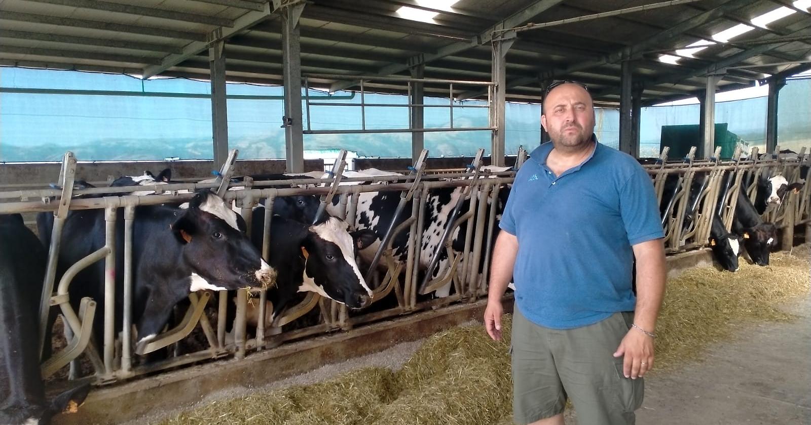 Bella, comparto zootecnico in seria difficoltà nell’agro del circondario