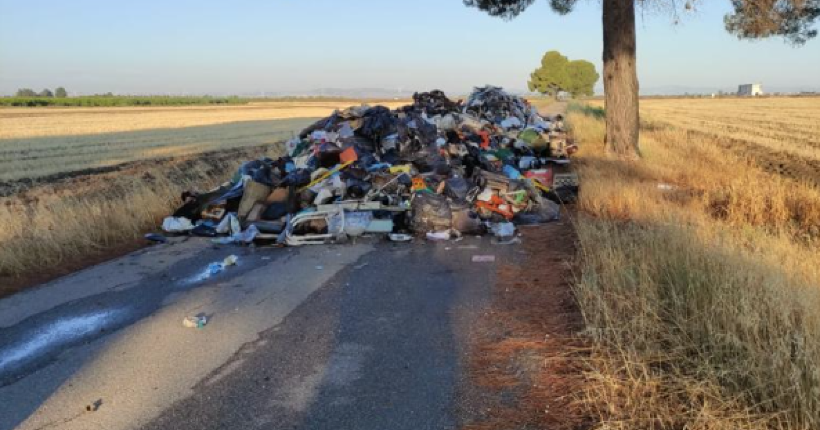 Strada provinciale invasa da rifiuti illegali a Cerignola, Gatta: "Criminali nemici della Capitanata"