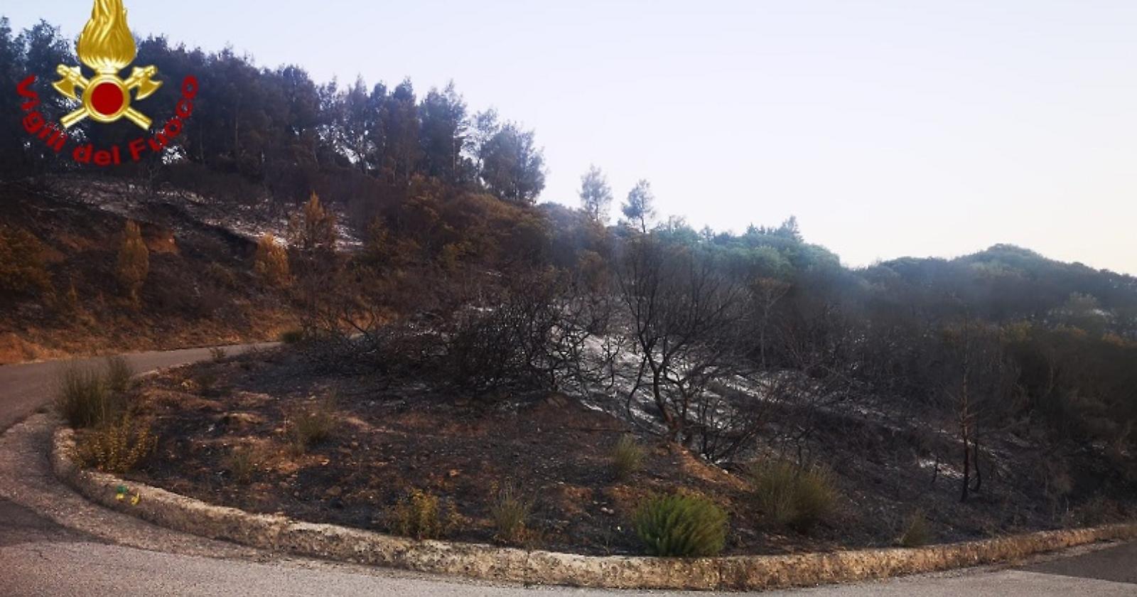 Fiamme a Pisticci e Pomarico, situazione difficile: Latronico chiede ulteriori uomini e mezzi 