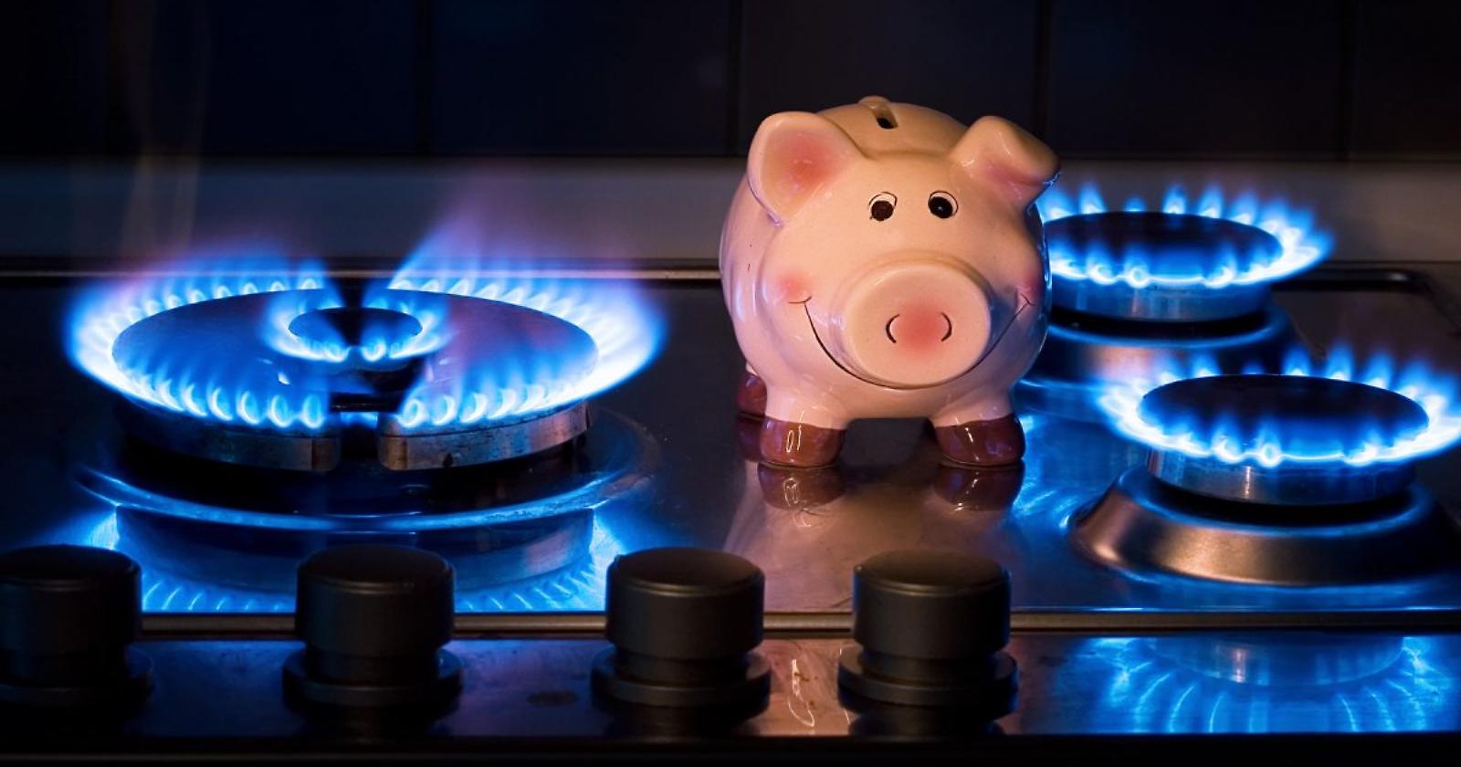Molecola gas gratis ai lucani, Legambiente: "Presidente Bardi oltre il gas c'è di più"