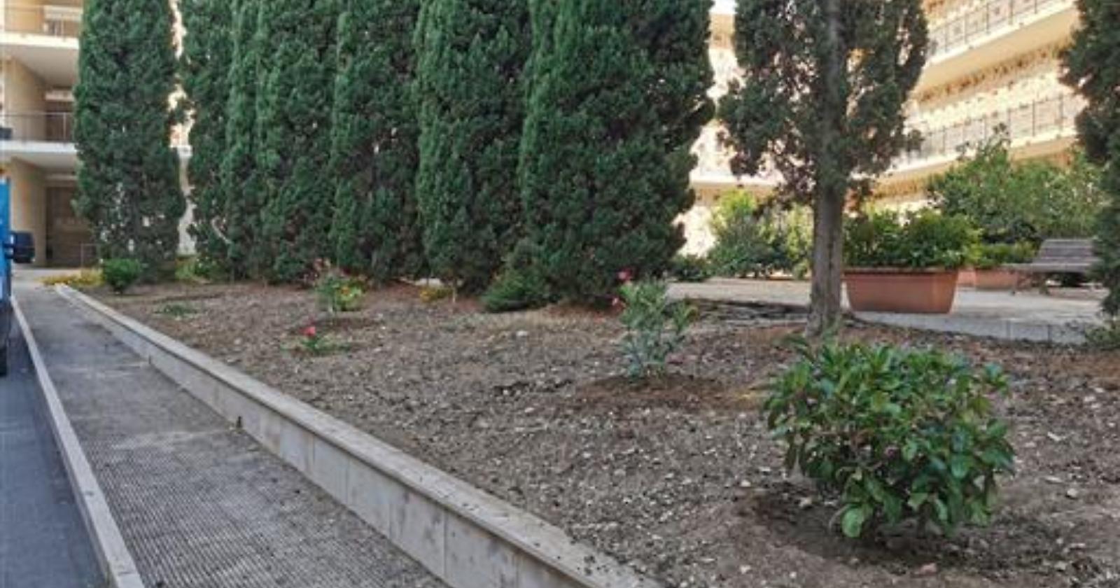 Nel cimitero di Molfetta trova requie anche un orto di frutta e verdura