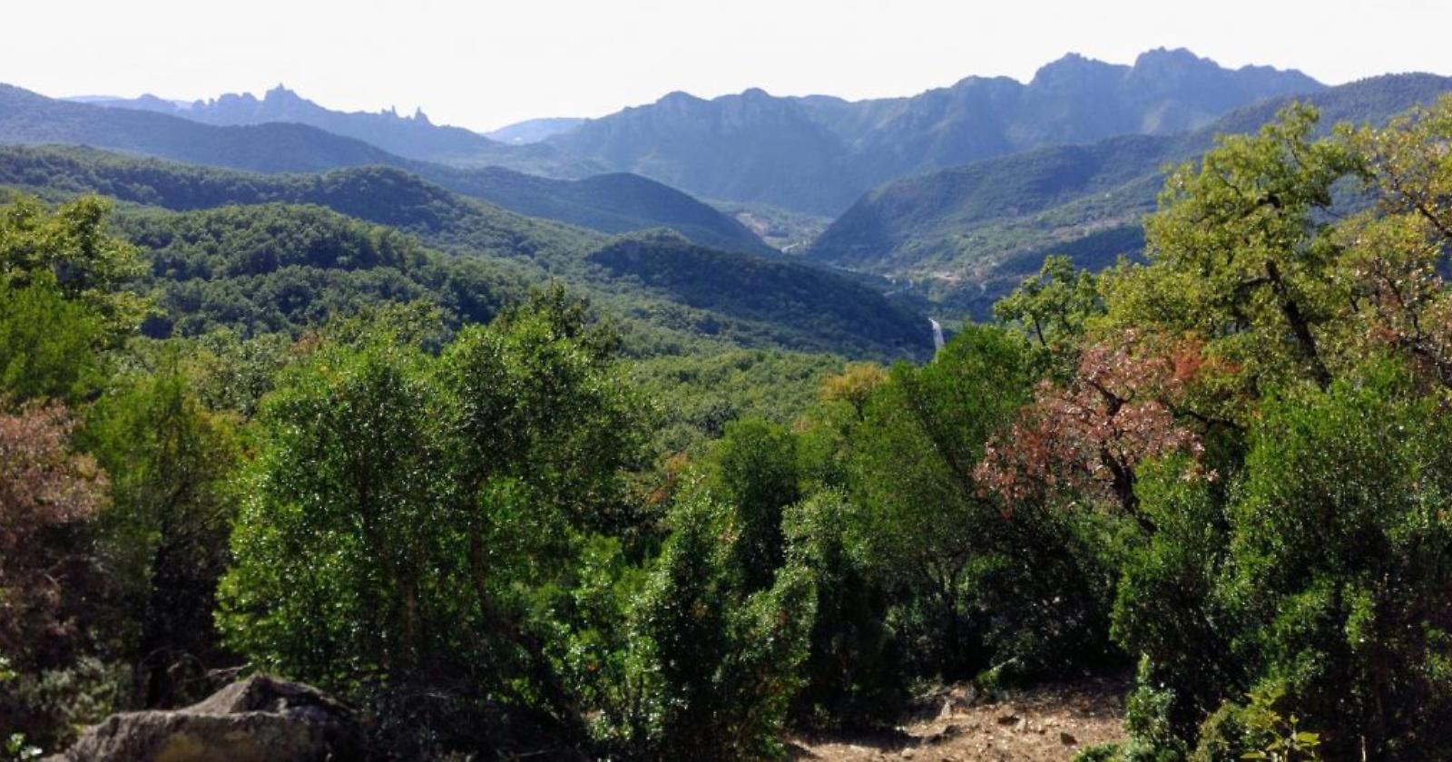 Mario Ungaro è il nuovo Presidente dell’Ente di gestione del Parco Naturale Gallipoli Cognato - Piccole Dolomiti Lucane