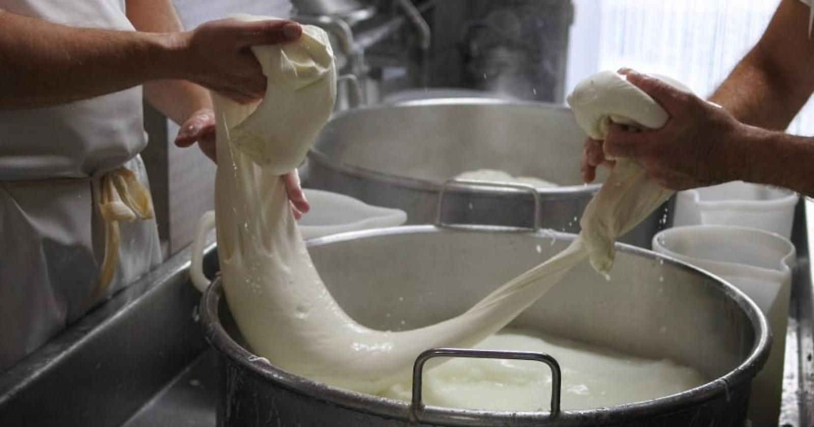 A Bella arriva la prima 'Scuola del Casaro' del Crea in terra lucana 