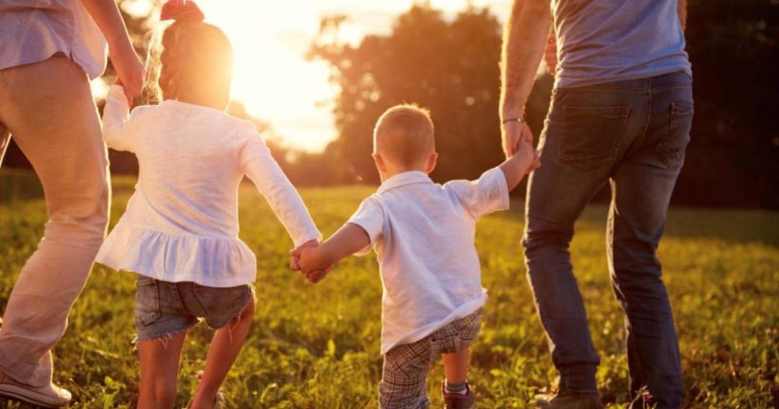 Reddito delle famiglie: nel 2021 la Basilicata fa meglio di Puglia e Campania e guida la crescita del Sud