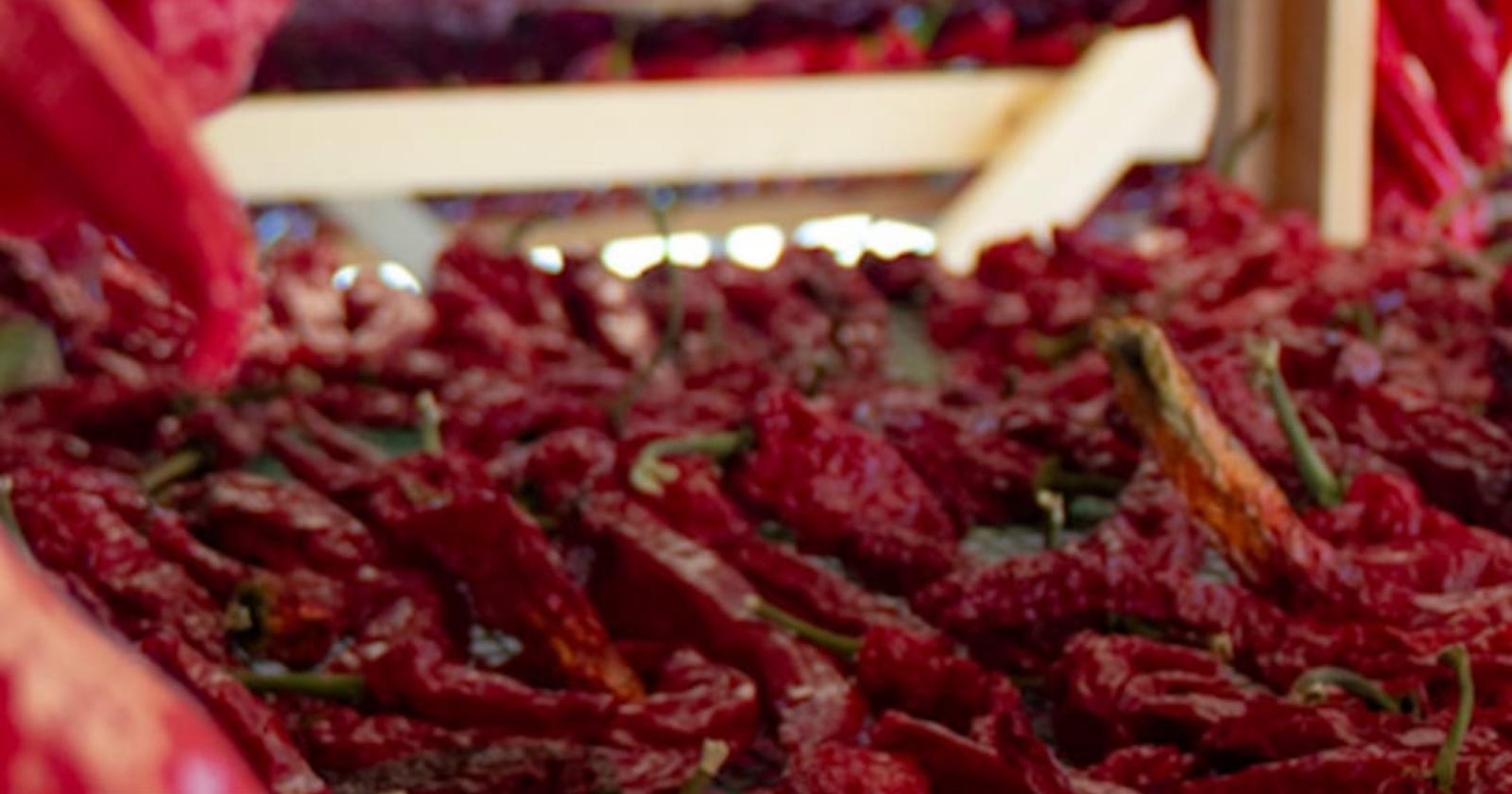 In Basilicata un percorso formativo per chi sogna di fare impresa nel settore agroalimentare 