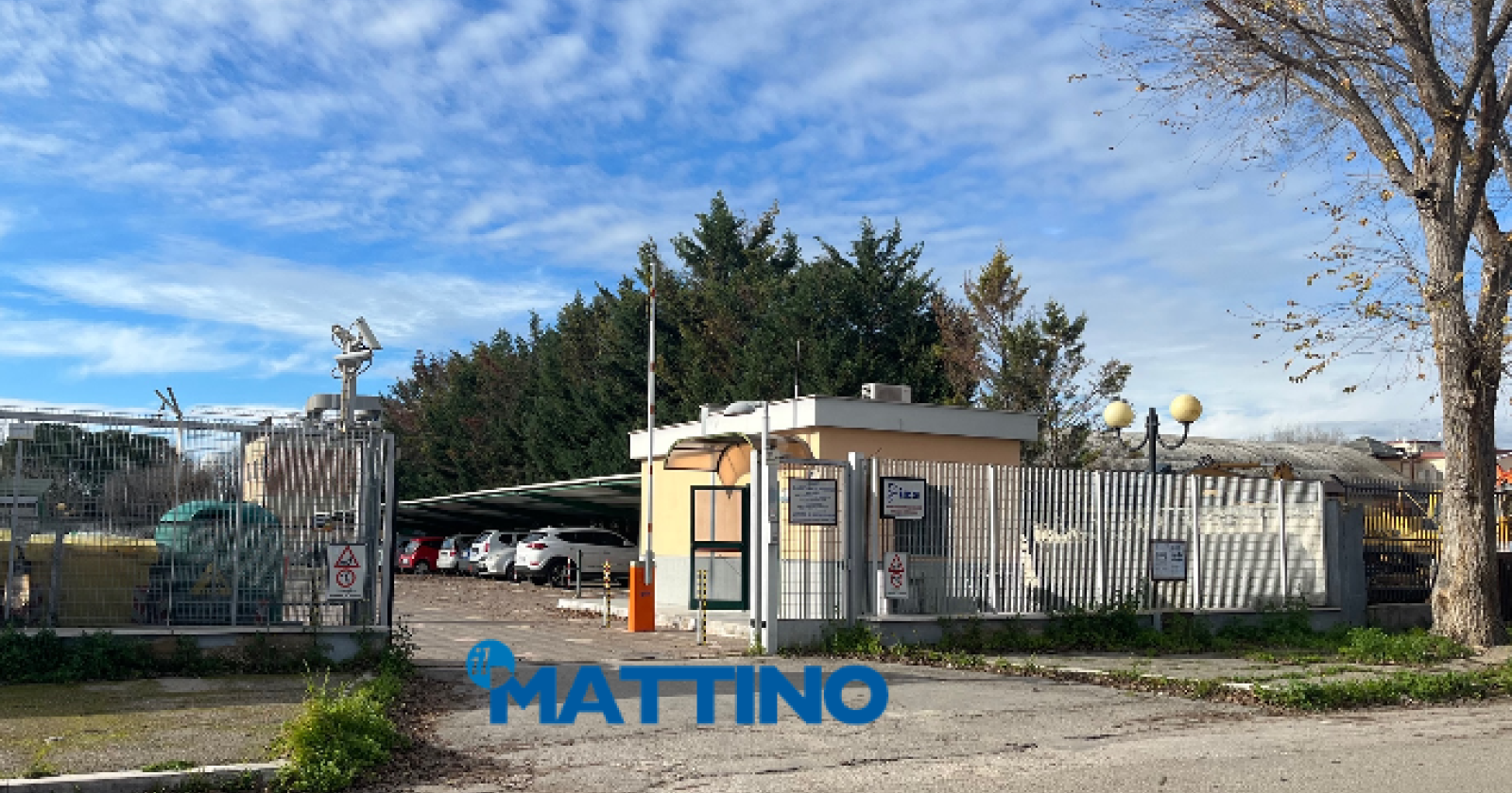 L'Istituto Zooprofilattico di Foggia chiamato a indagare sul killer delle tartarughe Caretta caretta a Barletta