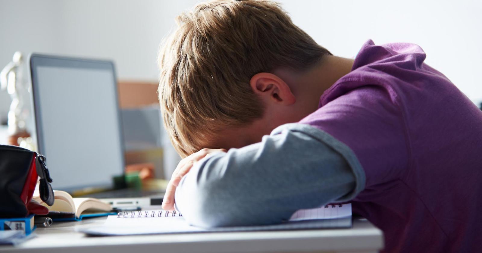 Potenza, Cyberbullismo: quando il problema è una fede diversa. Risorse in rete dai Testimoni di Geova