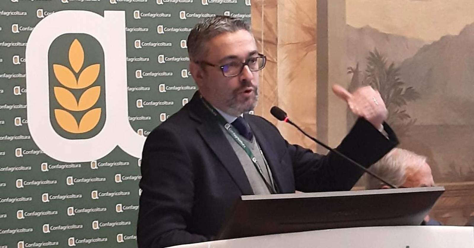 Denis Pantini (Nomisma): olio d'oliva "Cenerentola". In Puglia la produzione cala del 52%
