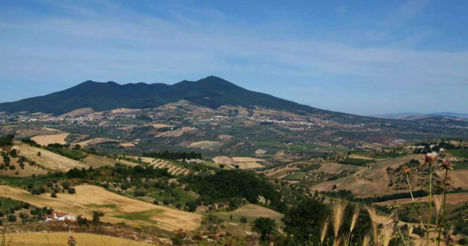 "Farsa" Parco del Vulture, parla l'ex presidente del Consiglio regionale Michele Aldo Radice