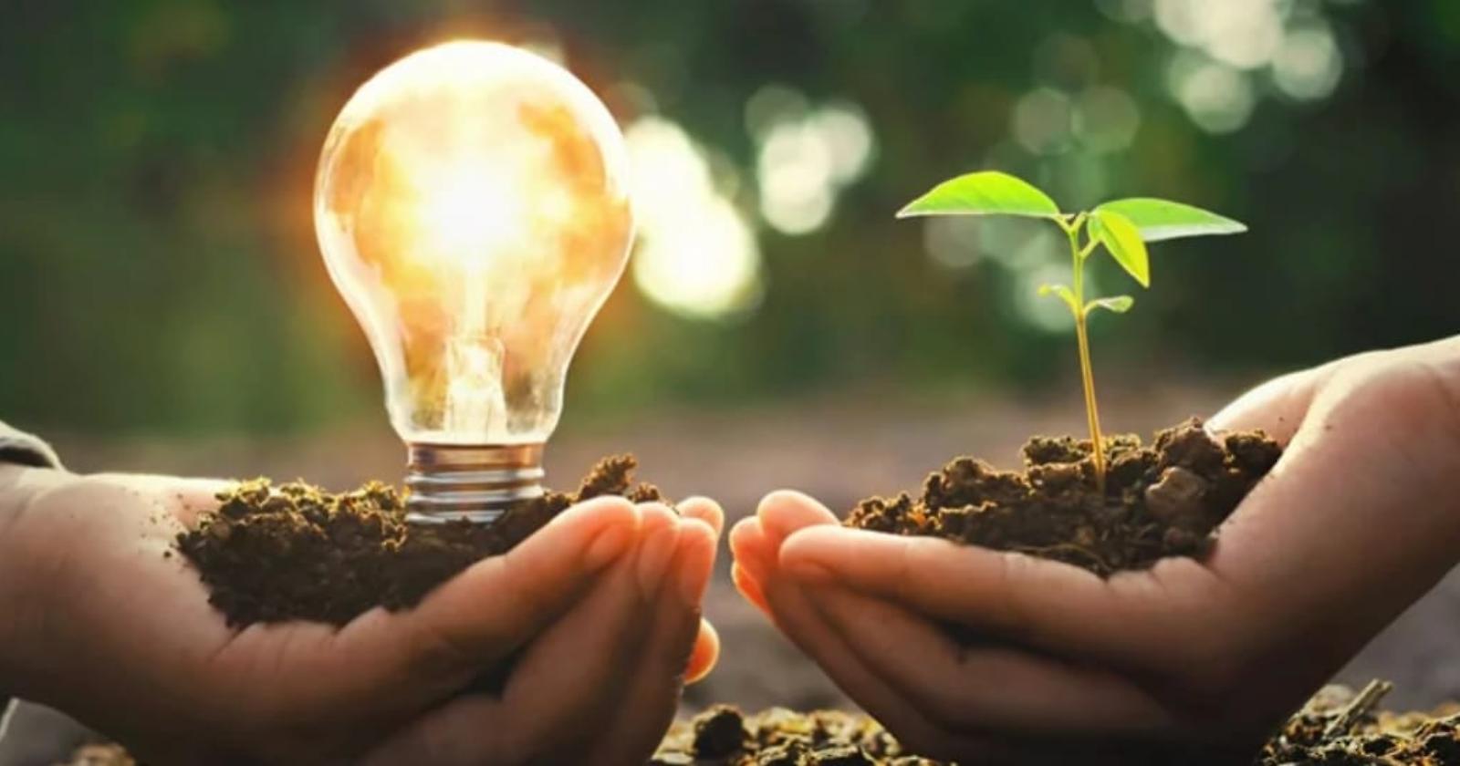 Energia: via libera a due impianti da fonti rinnovabili nelle zone di Pescopagano e Forenza