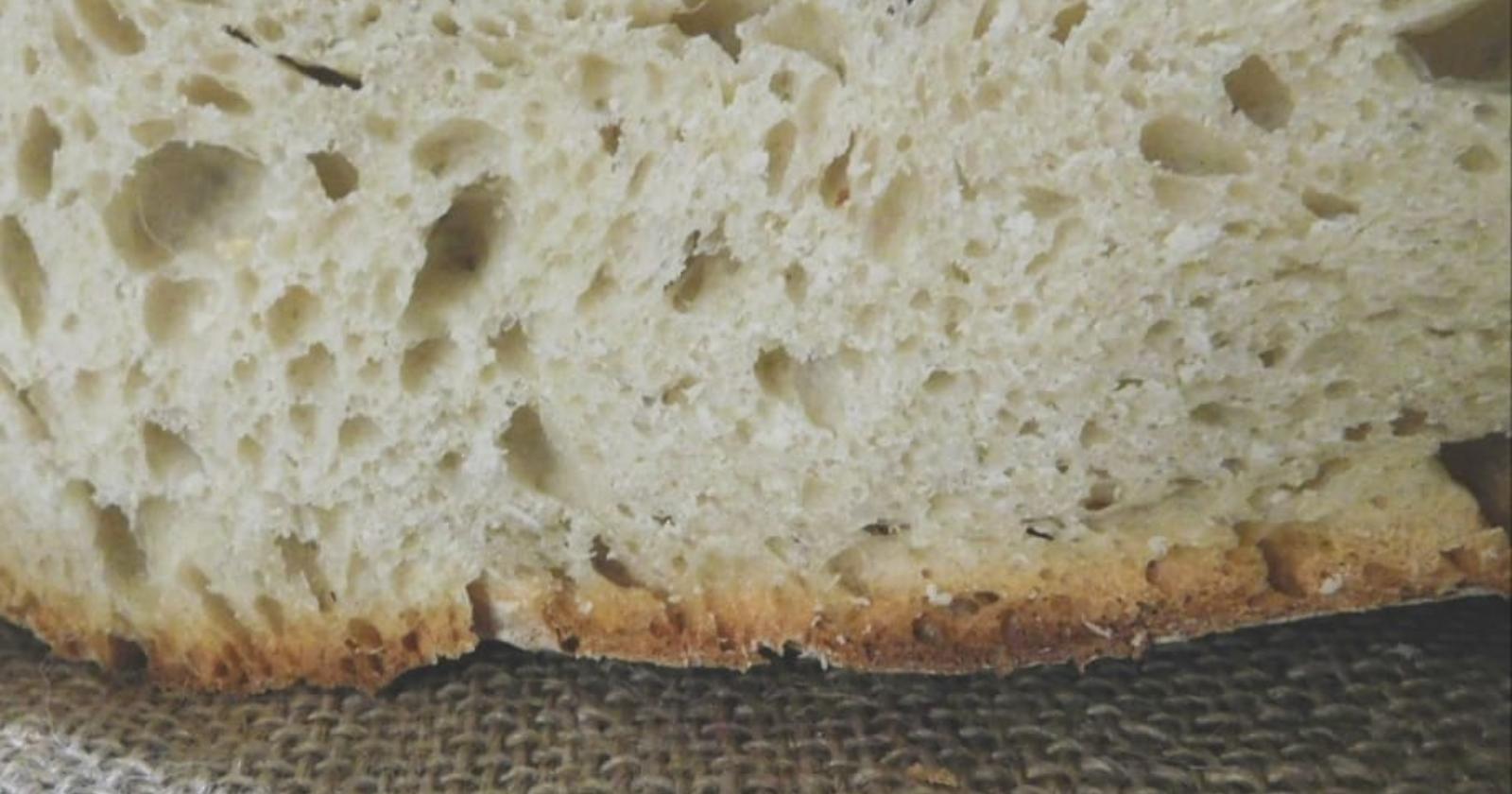 Dal liquore al sambuco di Chiaromonte al pane di Trecchina: ecco il video promo dei Pat
