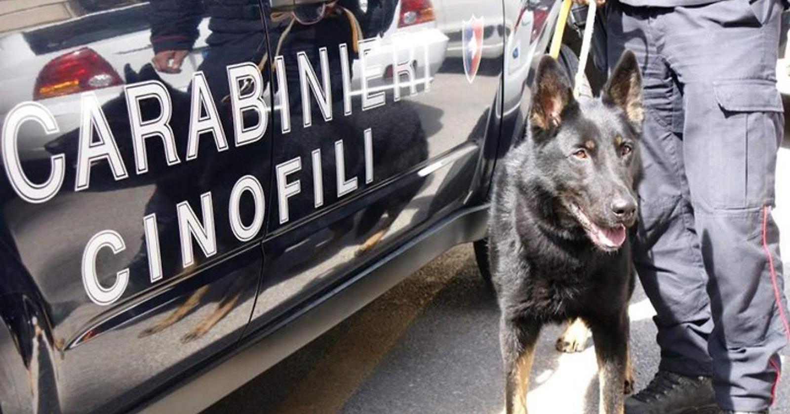 Spacciavano droga dandosi appuntamento su WhatsApp e Telegram: 6 arresti da parte dei Carabinieri tra Cerignola, Benevento e Avellino
