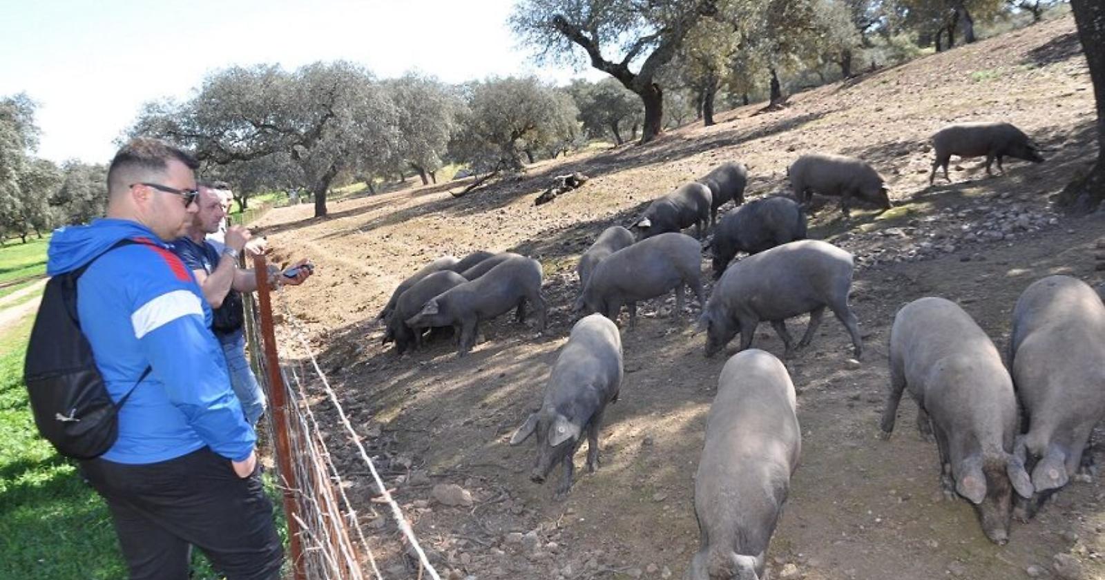 Allevatori del Marmo Platano in Spagna “a scuola di buone pratiche”: ecco il progetto Forzomis