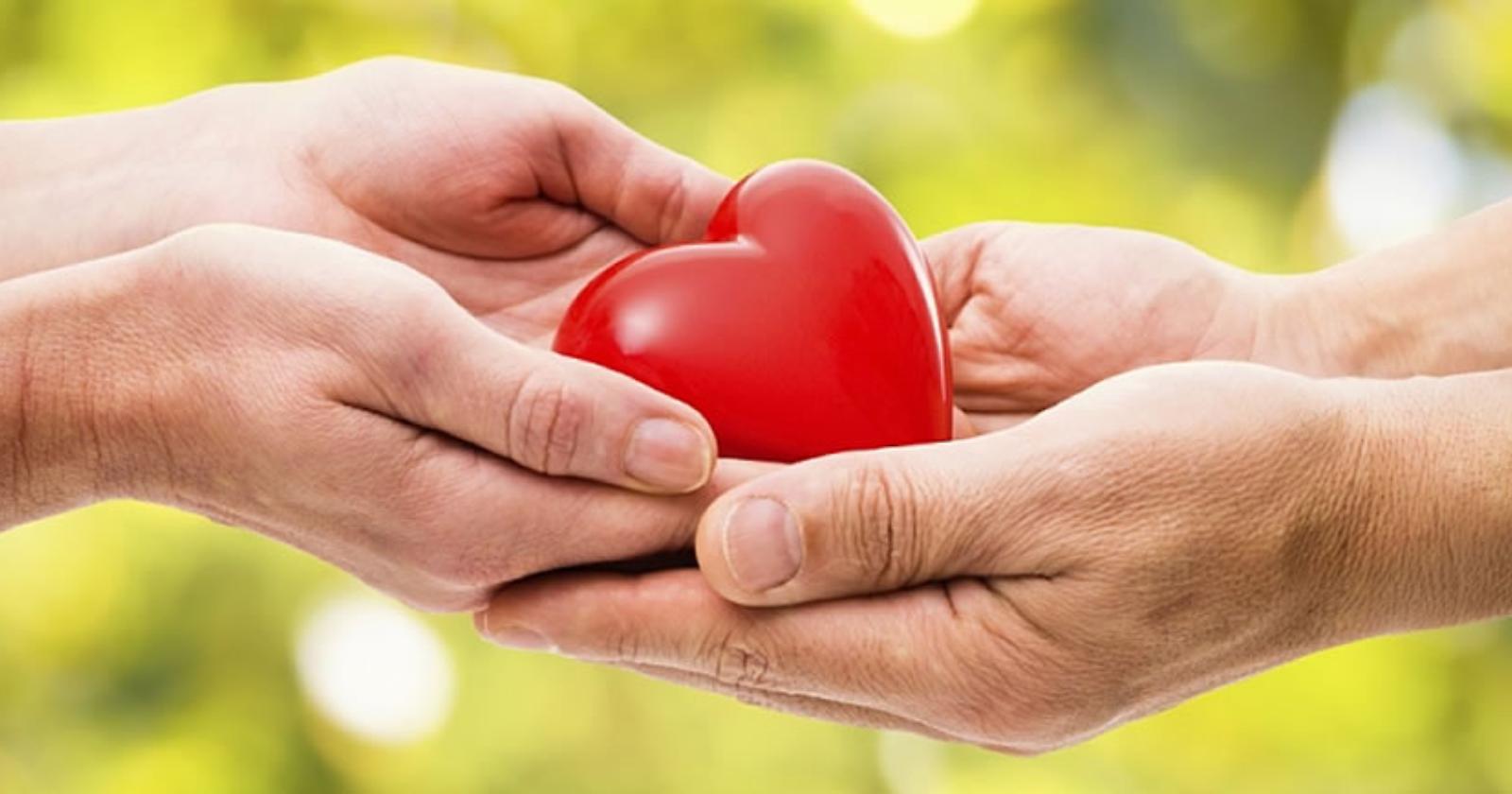  Donazione organi: è Montemurro il Comune lucano più generoso 