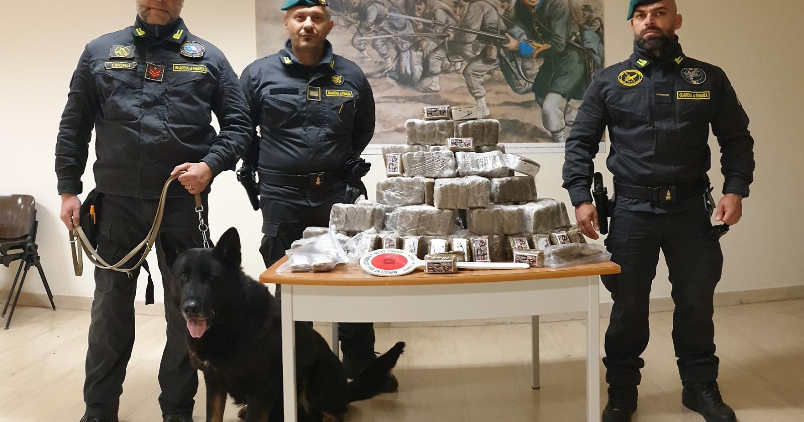 Il buon fiuto dei cani antidroga della GdF non mente: sequestrati oltre 80 chili di droga in provincia di Foggia