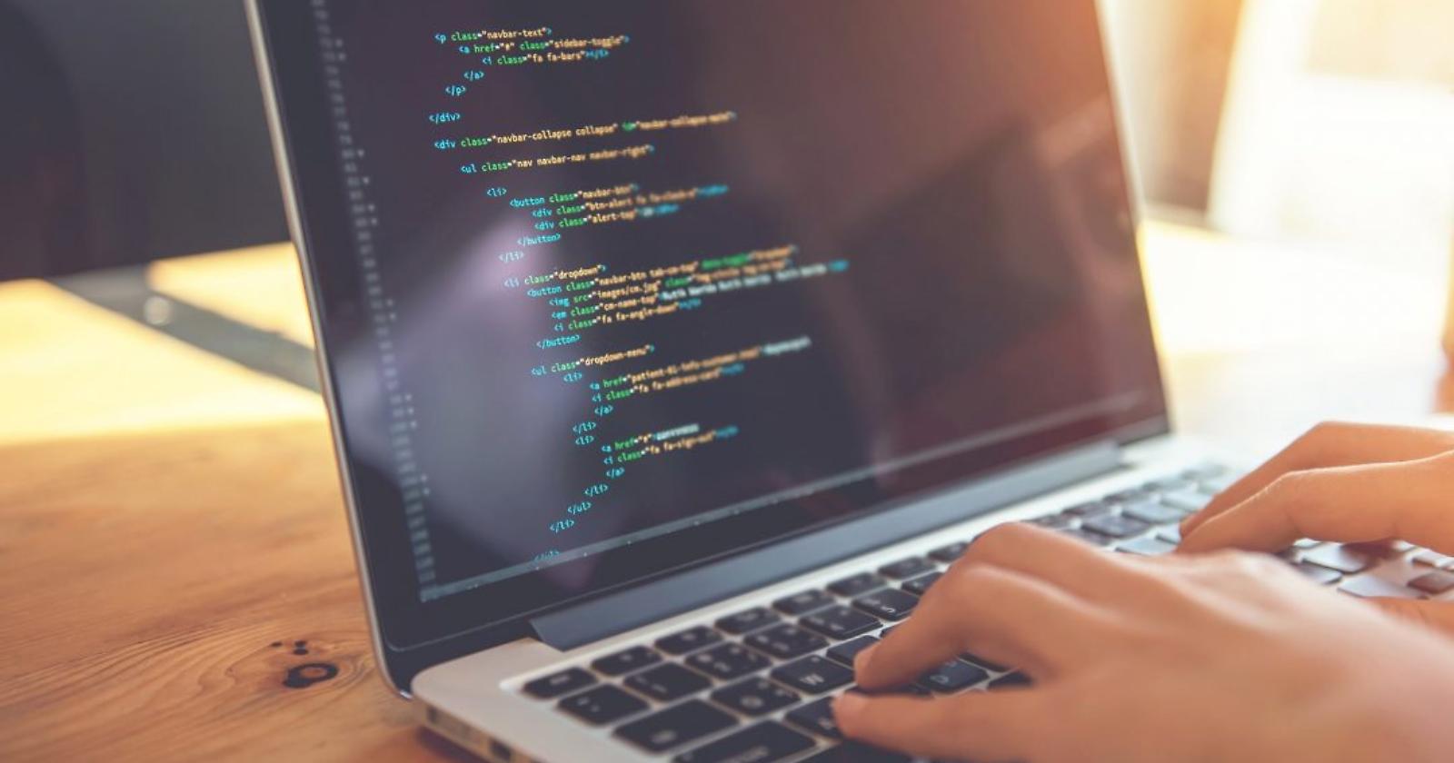 Sviluppo  software: la Regione Puglia spende 3,5milioni di euro, la Basilicata 2milioni, il Molise è il più virtuoso