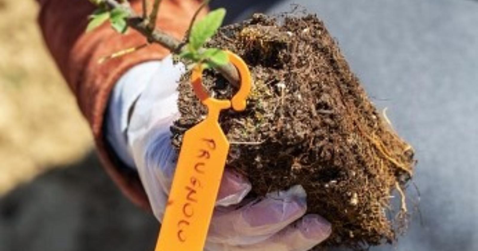 Biodiversità: così la climate tech 3Bee ha creato tre Oasi in Basilicata