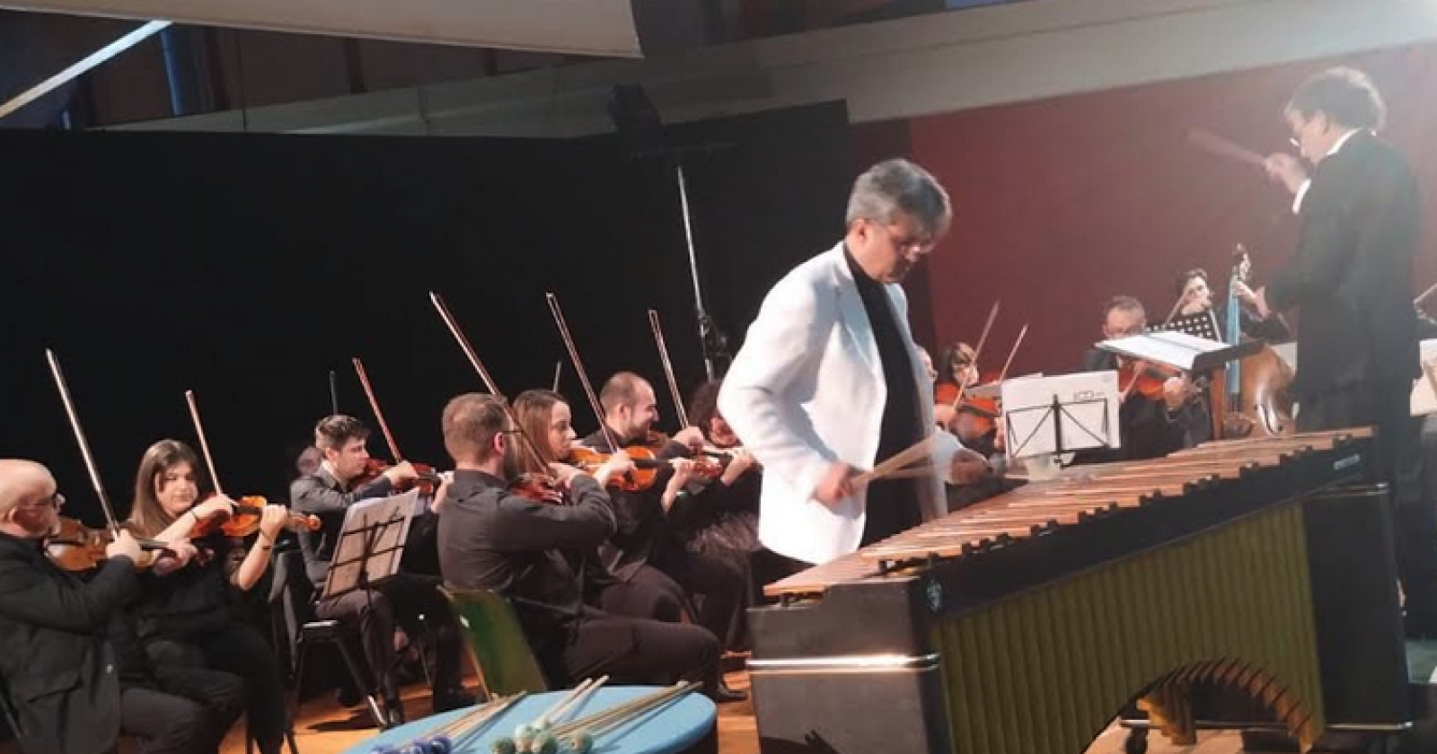 Potenza, Il colore del ritmo della vita, concerto di marimba e archi col maestro Menchise