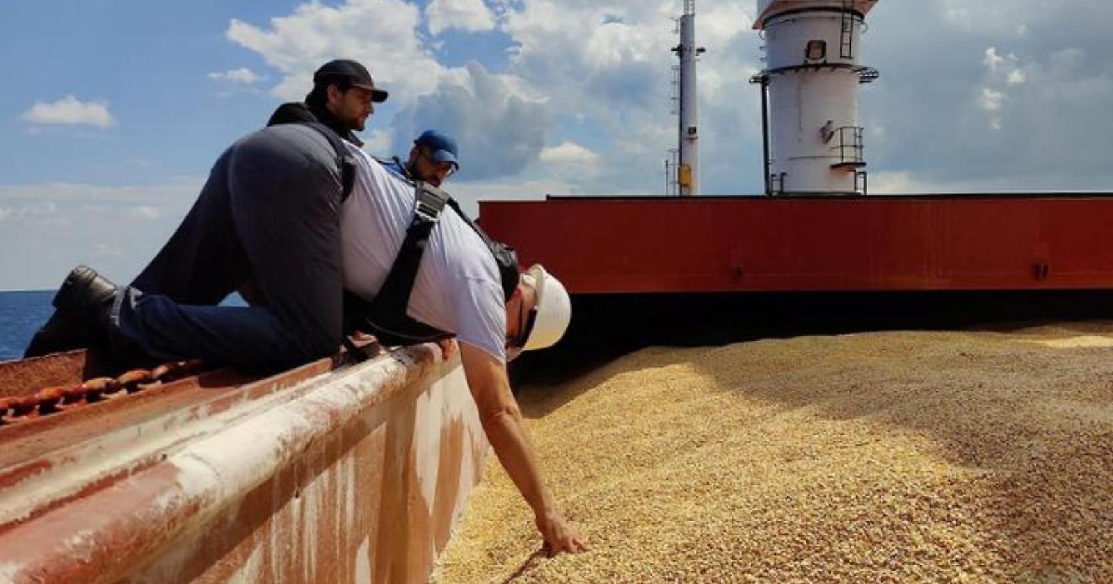 In Puglia è invasione, senza dazi, di grano dall'Ucraina: aumenti del 394% e crollo del prezzo del frumento pugliese, riferisce Coldiretti