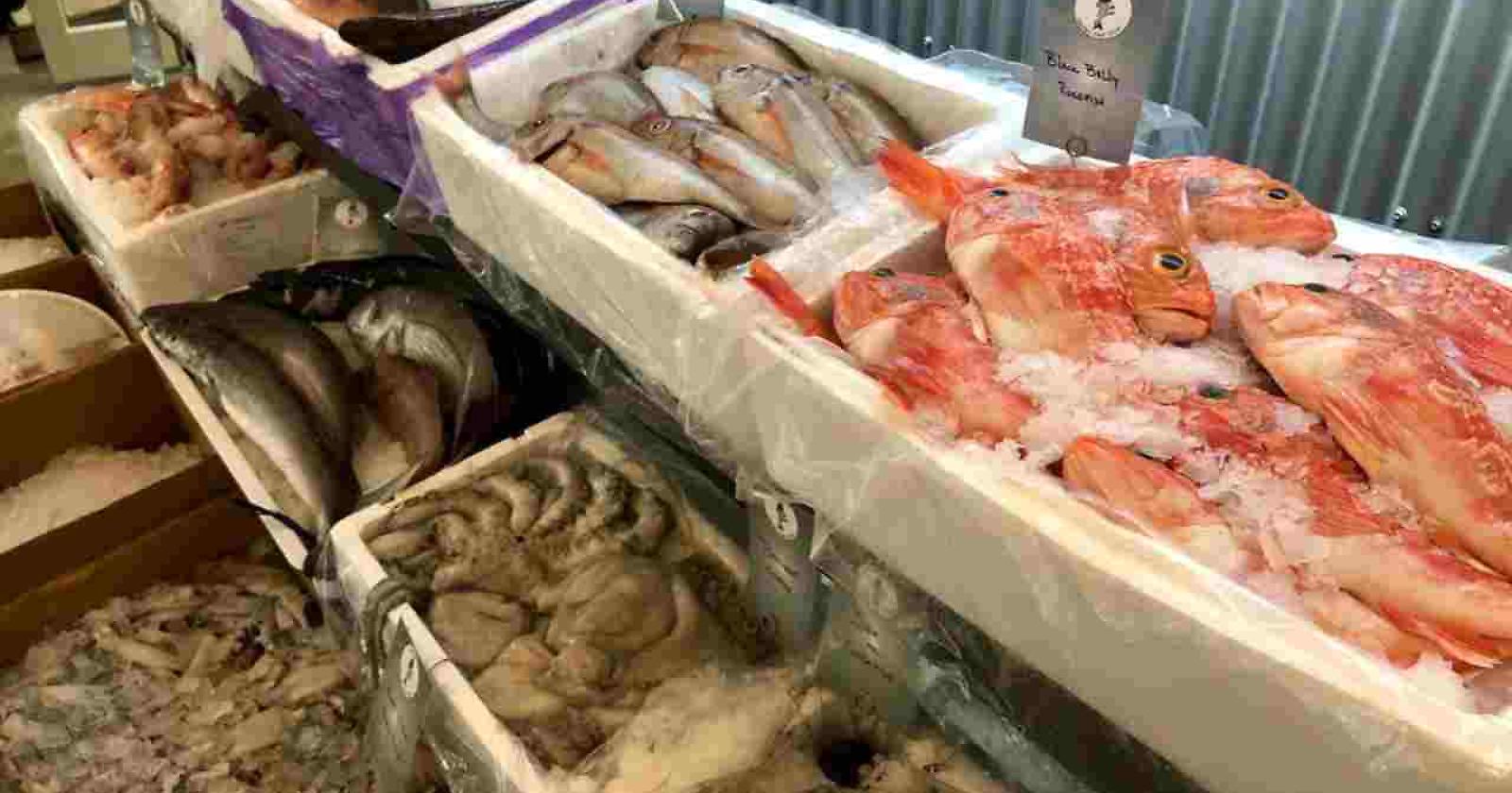Intossicazioni da istamina, contenuta nel pesce, in provincia di Foggia: sintomi, controlli e raccomandazioni dalla Asl