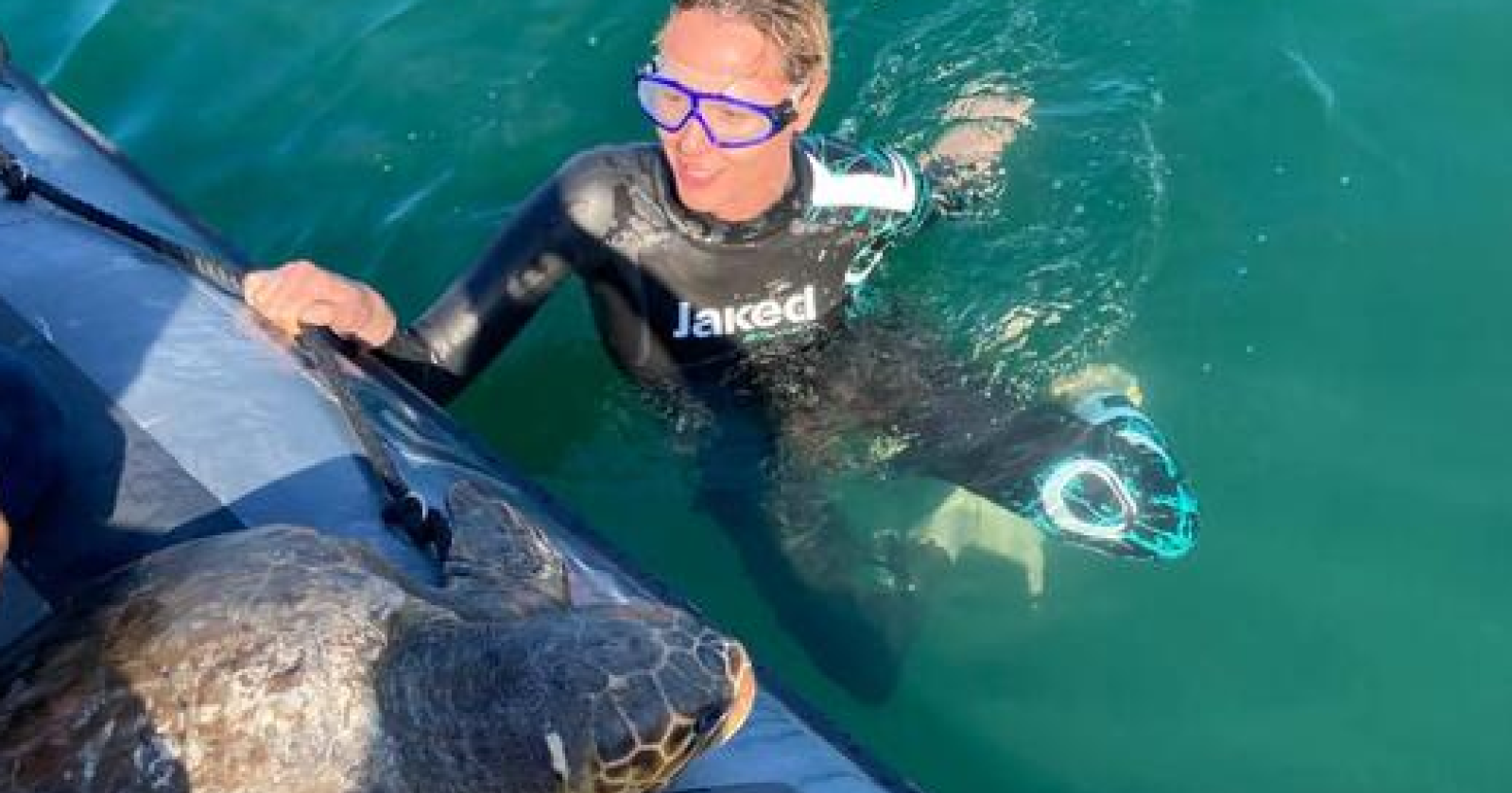 La Divina Federica Pellegrini adotta e libera in mare Libera, la tartaruga salvata e curata a Manfredonia