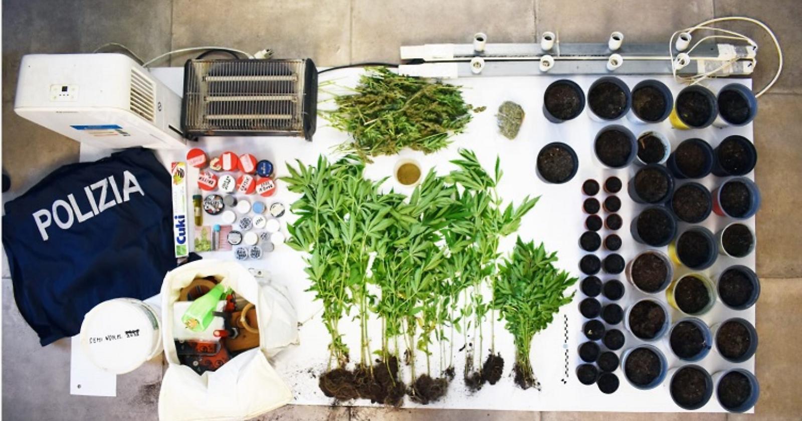 Coltivazione di marijuana a Marconia, operazione della Polizia a Pisticci: nei guai un 65enne