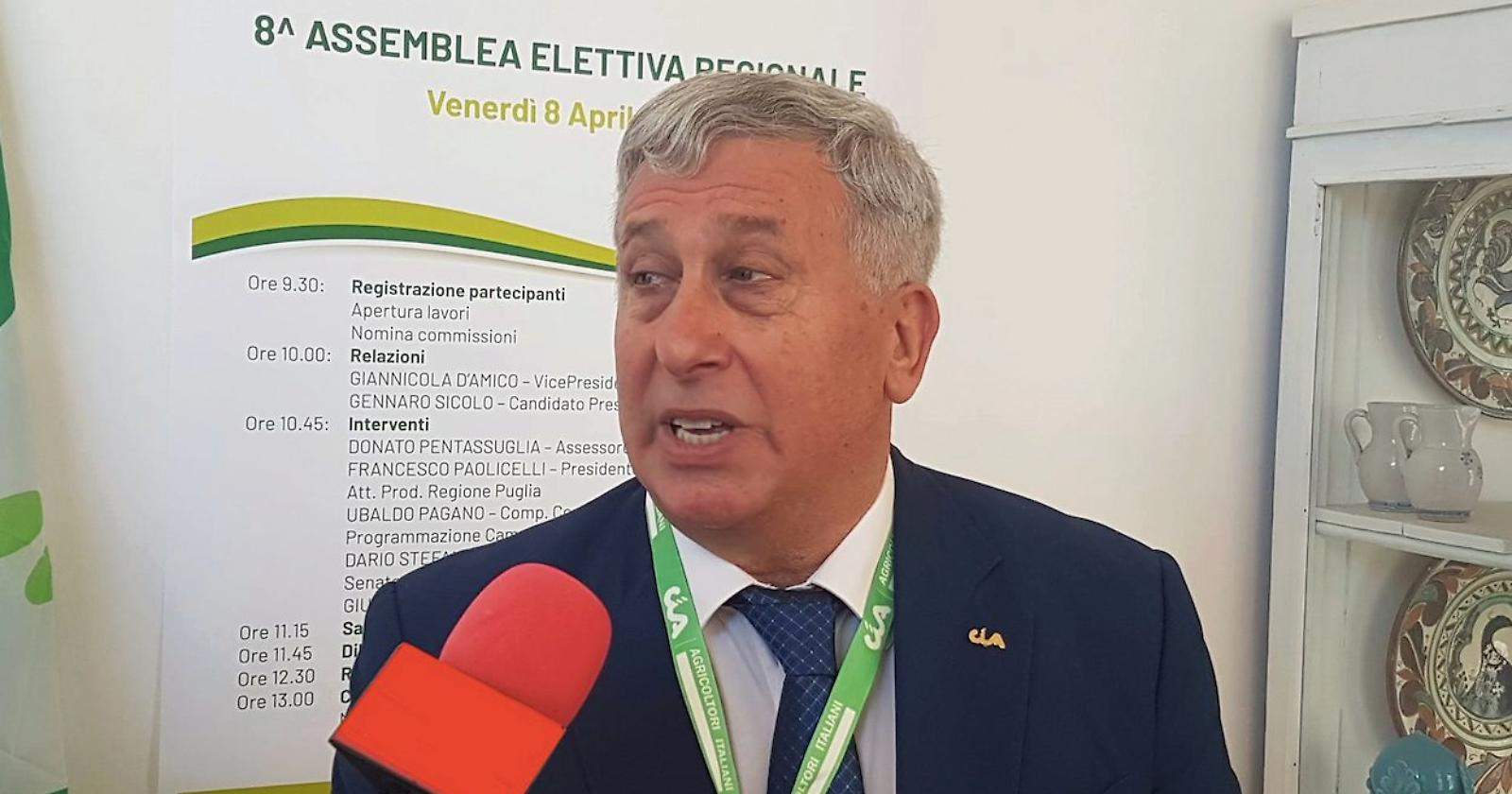 Cia Puglia: il Governo Meloni prende un granchio (blu) che al Nord vale il triplo della peronospora al Sud
