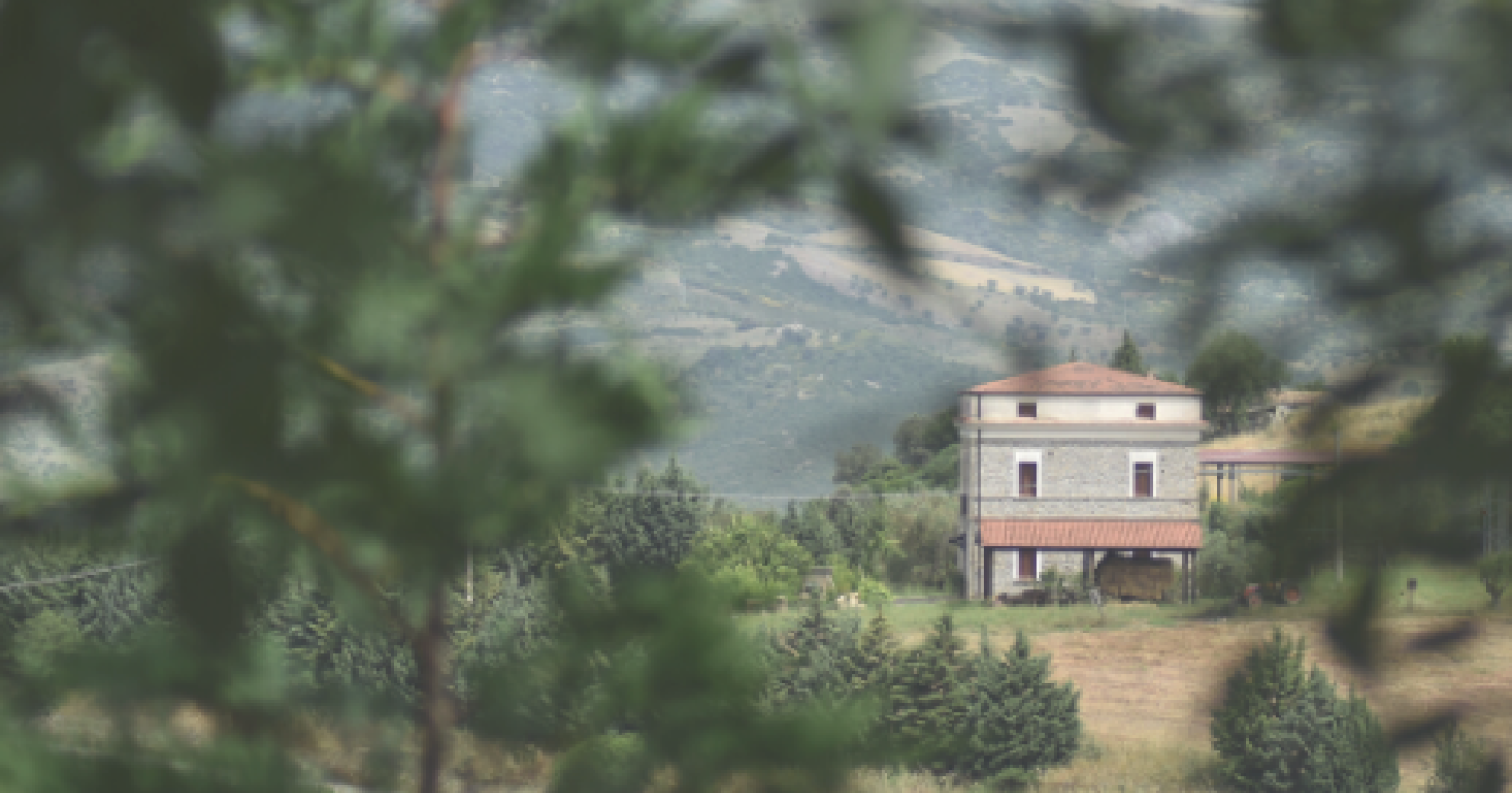 Fattoria degli enotri e l’Ultima foresta incantata celebrano a Valsinni e Policoro la biodiversità, l’arte e le tradizioni