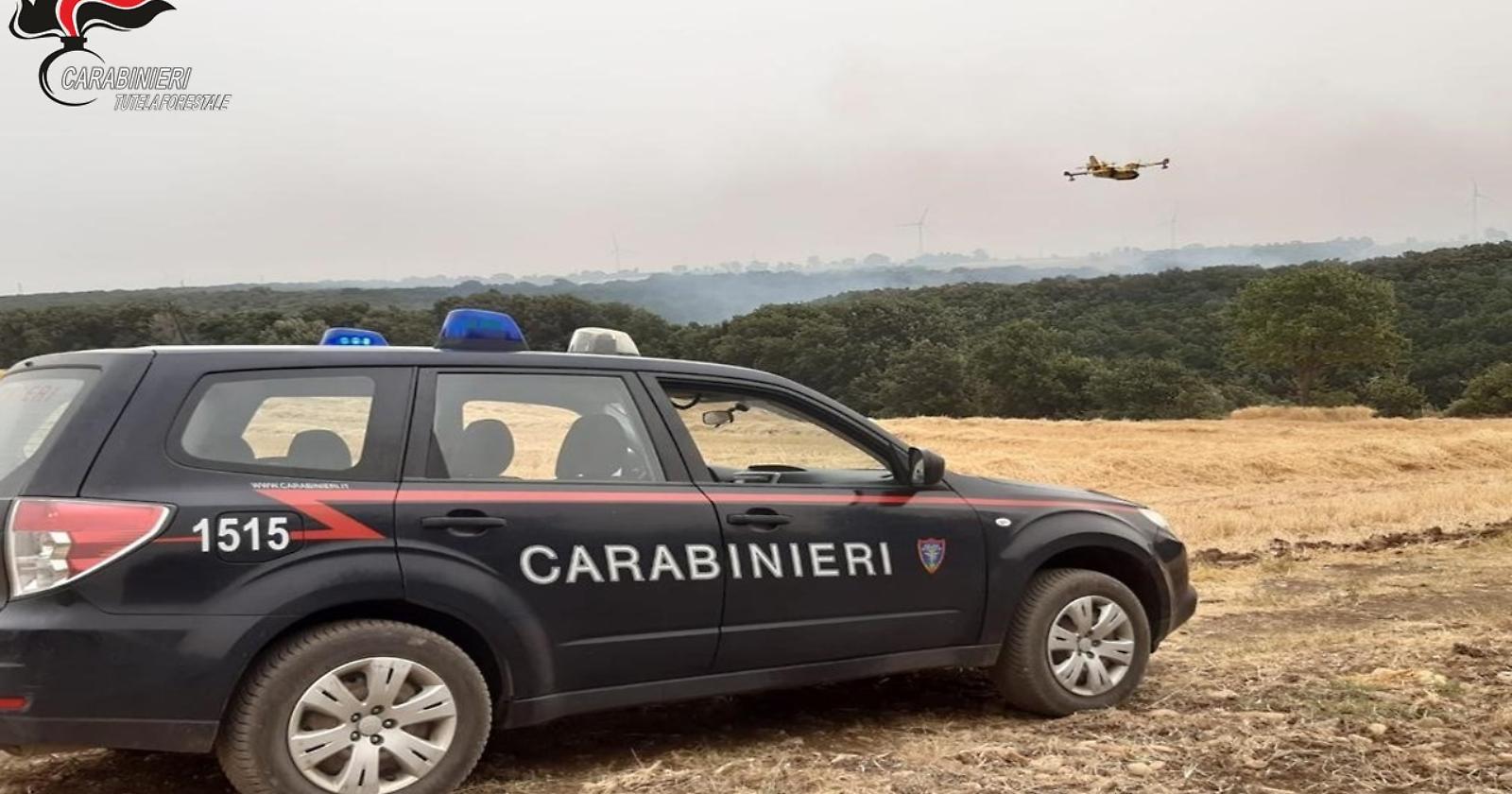 Dà fuoco alla riserva naturale di Margherita di Savoia, ma i Carabinieri di Manfredonia lo fermano spegnendo l'incendio