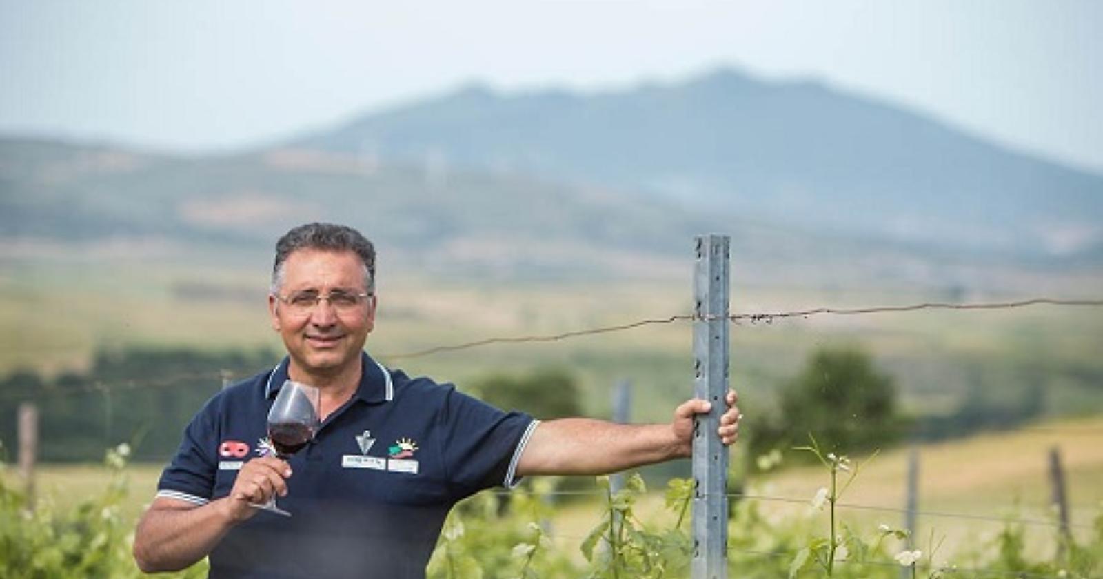 Da Lavello alla Top 100 Migliori vini italiani 2024 di winemag.it: brilla la Cantina Vitis in Vulture