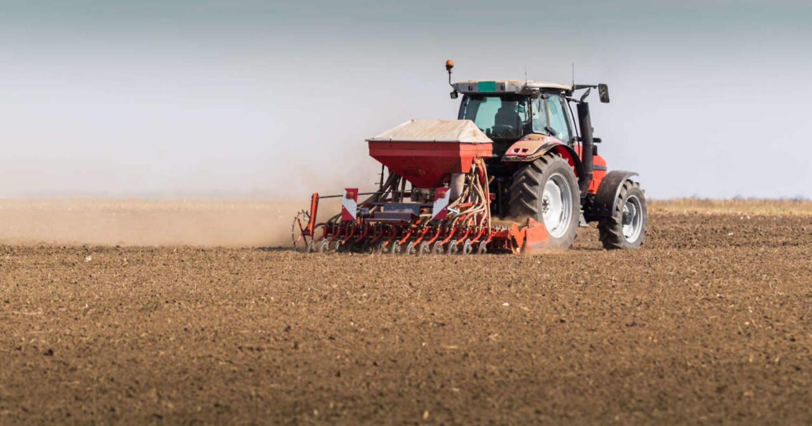 La provinci di Foggia si conferma "lievito" d'Italia del grano con 240mila ettari di coltivazione per le sementi