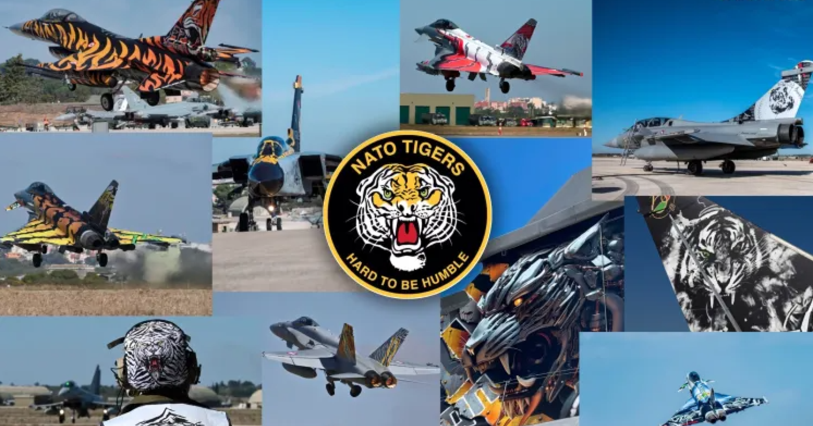 A Gioia del Colle il raduno delle "tigri delle Nato": 80 aeromobili da 10 Paesi per perfezionare le missioni di guerra