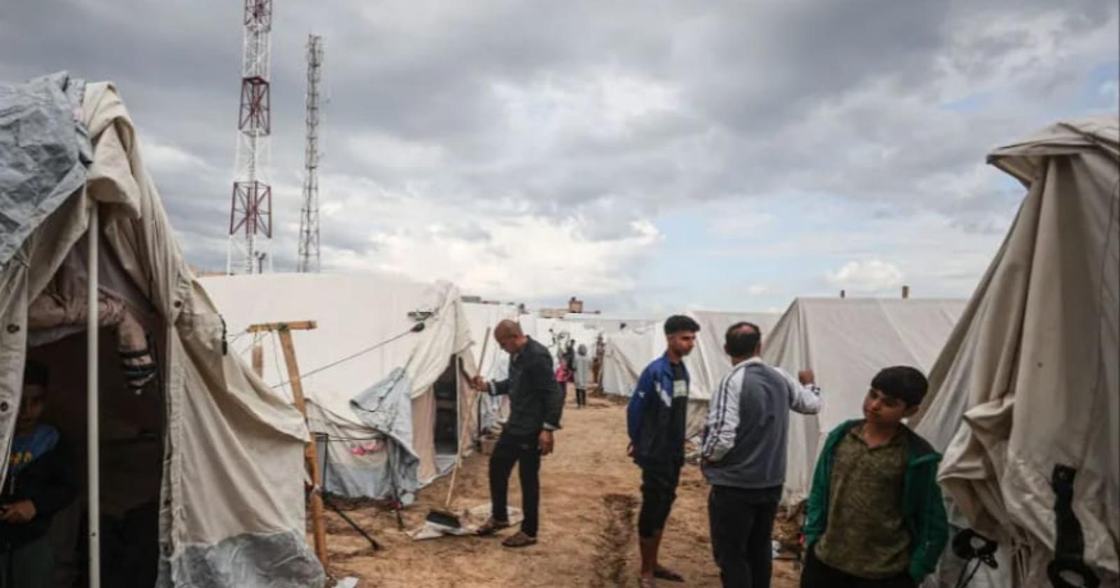 Il Comitato per la Pace di Matera torna a chiedere il cessate il fuoco nella Striscia di Gaza
