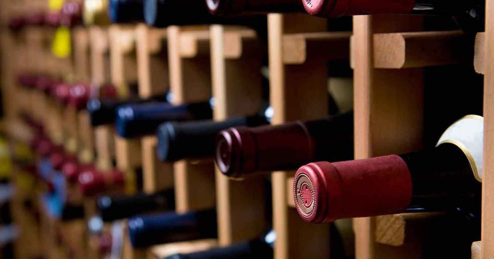 L’Aglianico del Vulture Baliaggio ’21 premiato da Gambero Rosso come miglior vino sotto i 10 euro